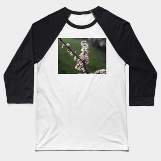 Cherry tree in spring Baseball T-Shirt